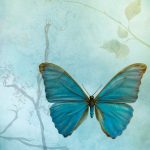 butterfly paper with branch and flowers