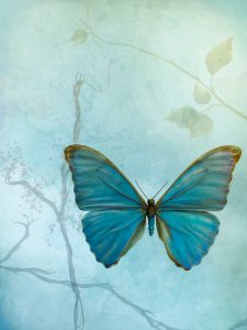 butterfly paper with branch and flowers