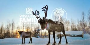 reindeer-farm-12-8-2026